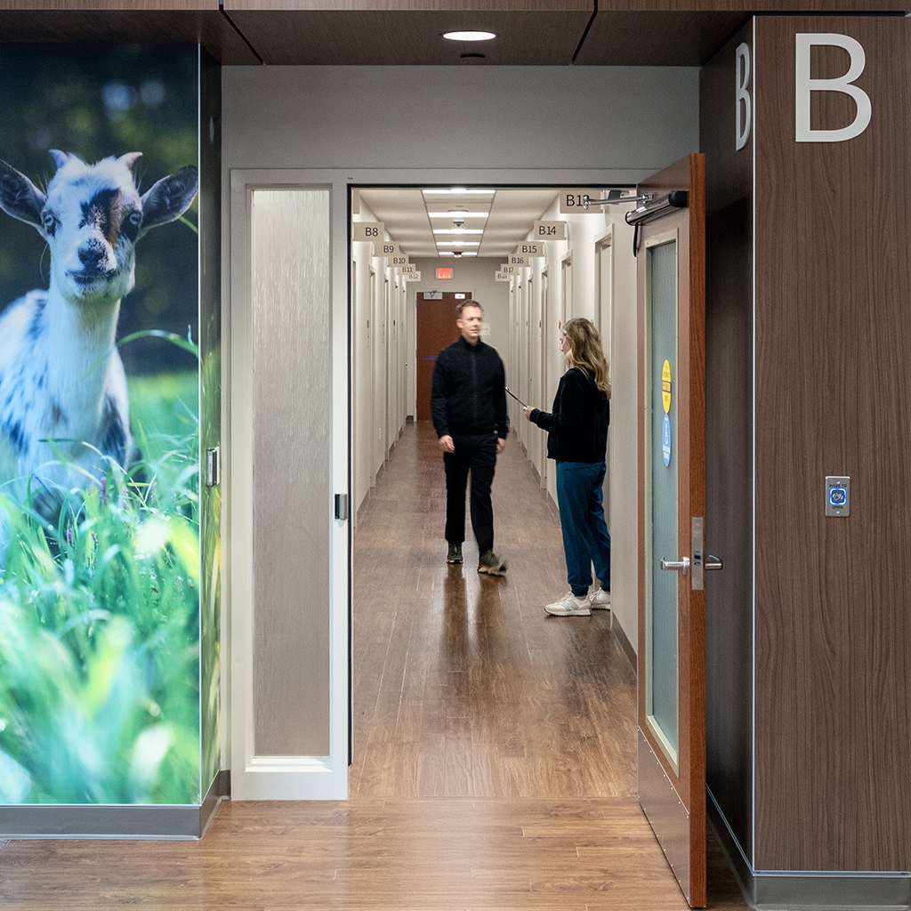 Two people stand in a campus hallway near doorways labeled B8–B15, talking as they walk down a wood-floored corridor. Left wall has a large goat poster.
